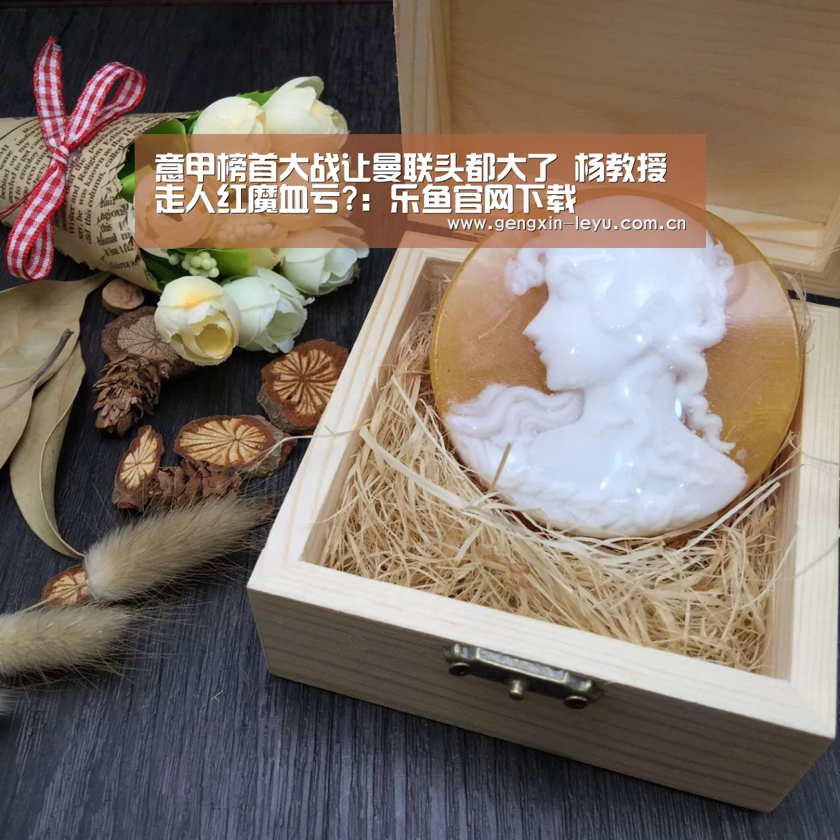 乐鱼体育官方平台