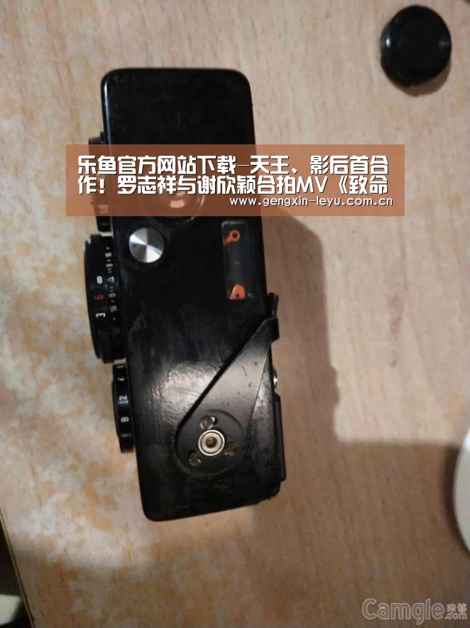 乐鱼体育官方网站入口