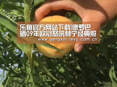 乐鱼官网下载