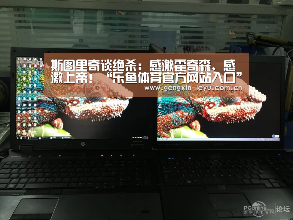 乐鱼官网下载