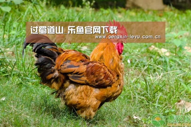 过蜀道山_乐鱼官网下载(图4) 乐鱼官方网站下载