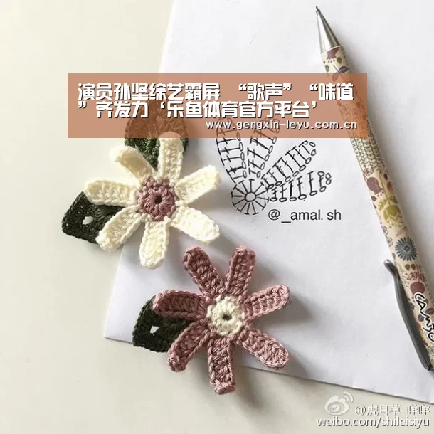 演员孙坚综艺霸屏 “歌声”“味道”齐发力‘乐鱼体育官方平台’(图3) 乐鱼官方网站下载