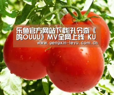 乐鱼官方网站下载|孔令奇《呜OUUU》MV全网上线 KUNG式广场舞掀起复古风潮(图2) 乐鱼体育官方平台