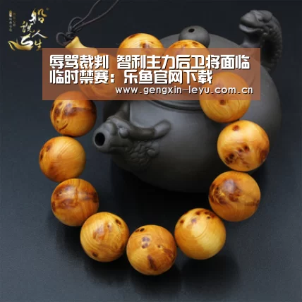 辱骂裁判 智利主力后卫将面临临时禁赛:乐鱼官网下载(图4) 乐鱼官方网站下载