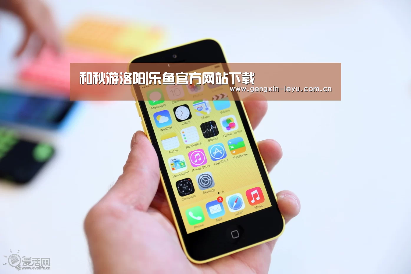 乐鱼官网下载
