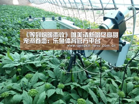 《等到烟暖雨收》唯美清新唱尽高甜宠溺眷恋:乐鱼体育官方平台(图4) 乐鱼体育官方平台