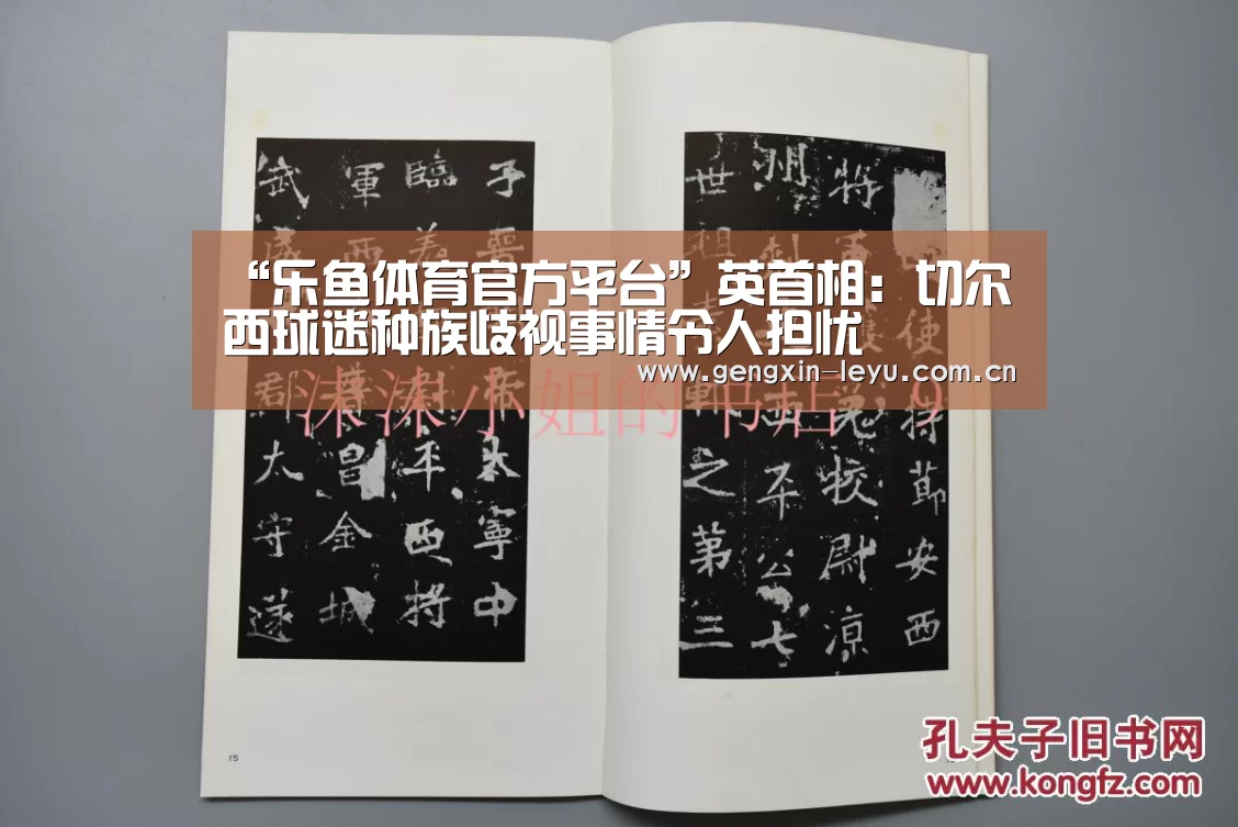 “乐鱼体育官方平台”英首相:切尔西球迷种族歧视事情令人担忧(图3) 乐鱼体育官方网站入口